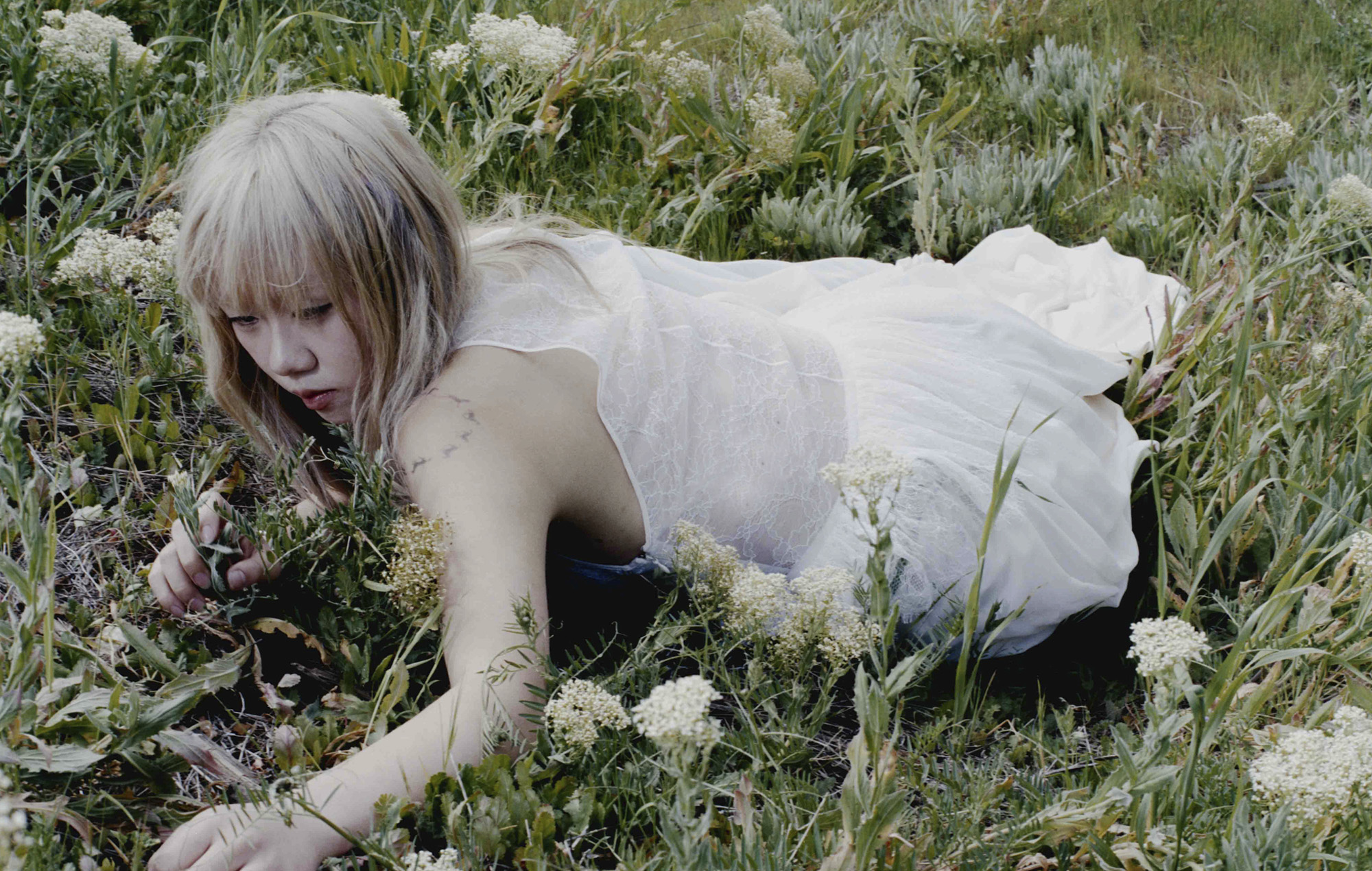 WISP - "Калі не зіма" агляд: амбіцыі і ўразлівасць