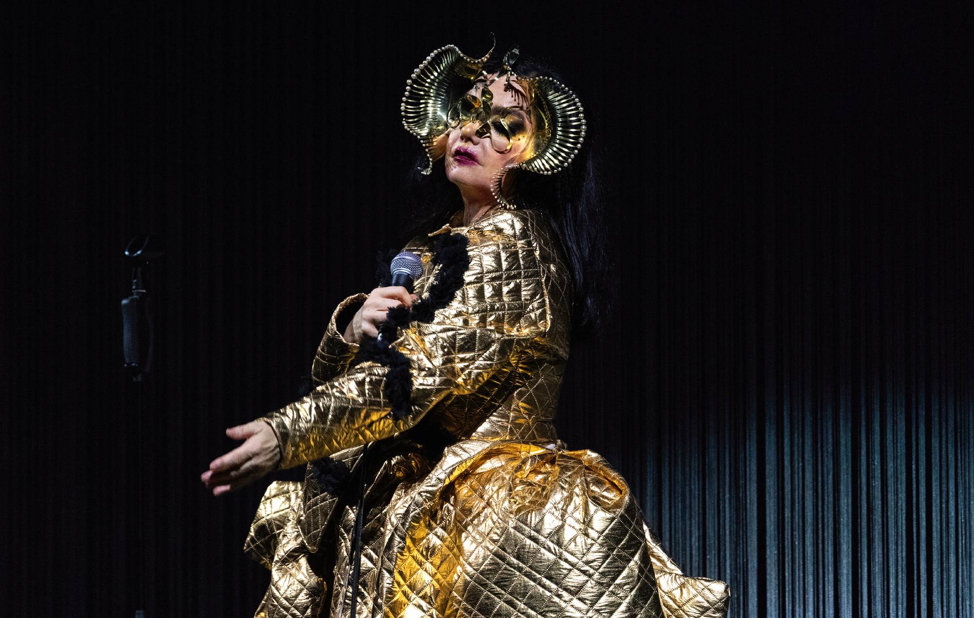 Björk не далучаецца да музыкі для кампаніі Genocide і выдаляе каталог з трансляцыі ў Ізраілі