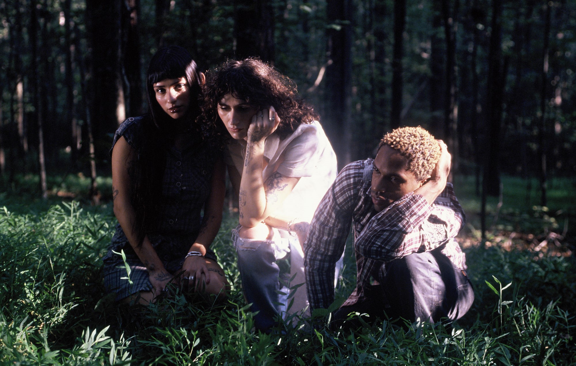 ціха радыкальная калекцыя маляўнічых індзі-рокавых эксперыментаў