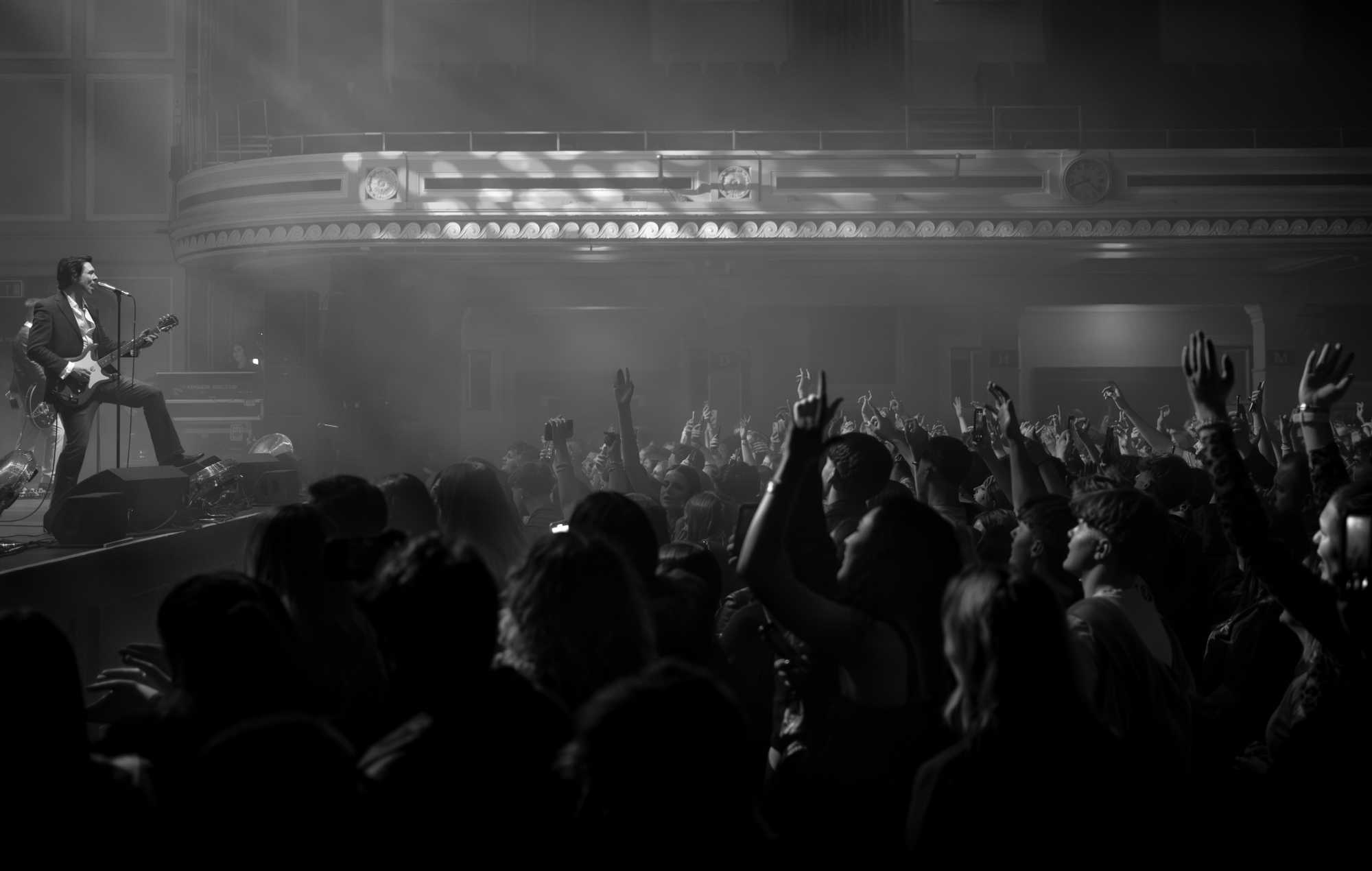 Трыб'ют-гурт Arctic Monkeys Antarctic Monkeys. Аўтар: Маколі Каллен