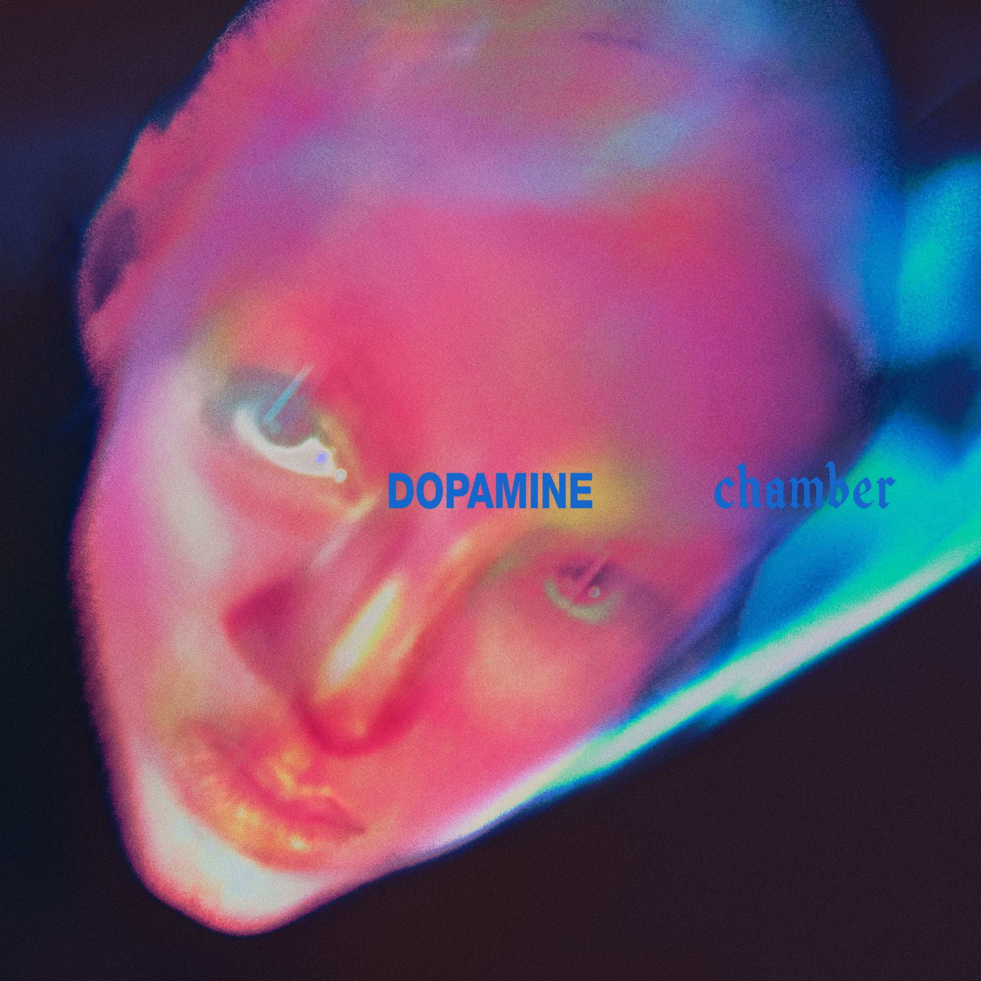 fontaines dc агляд дофаміновой камеры